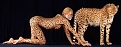 Klicke auf die Grafik fr eine vergrerte Ansicht

Name: bodypainting leopard gepard (2).jpg
Ansichten: 92
Gre: 45,7 KB
ID: 26718